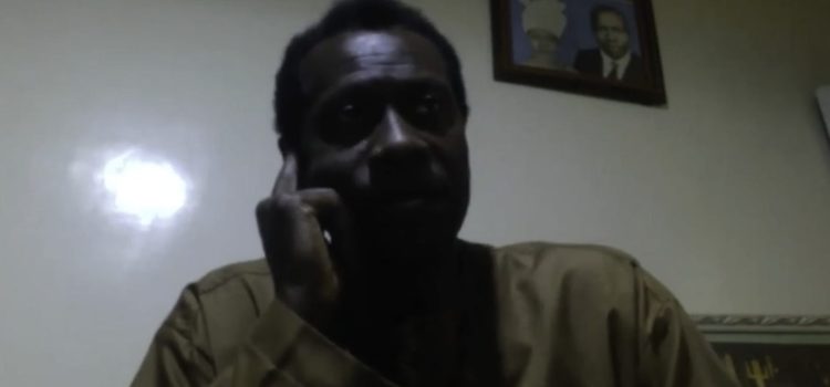 Panafricanism: Histories and perspectives, Aziz Salmone Fall