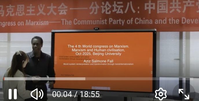 Aziz Salmone Fall, world system interpretation and transformation, Beijing University